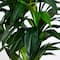 8ft. Potted Green Artificial Dracaena Tree with Real Touch Leaves